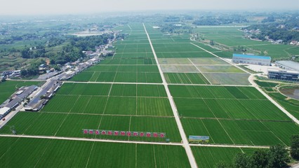 四川省現代種業(yè)發(fā)展集團揭牌成立
