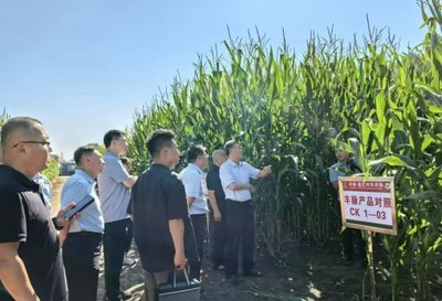 鄭州市農(nóng)業(yè)農(nóng)村局來我市調研種業(yè)工作 共話種業(yè)發(fā)展新篇章