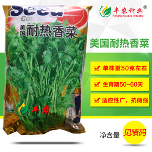 蔬菜香菜種子市場洞察 價(jià)格、供應(yīng)商與種植前景